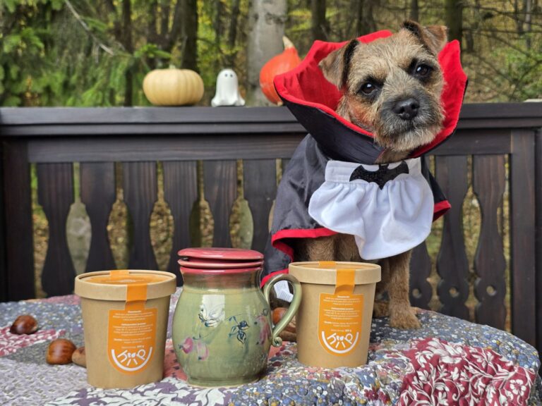 Drakutya kedvencei – halloweeni csomag